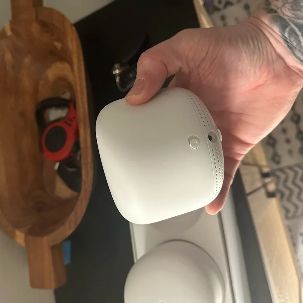 Google nest pods